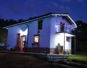 a cat sitting in front of a white house at night at Cabaña Assyria in Zapatoca