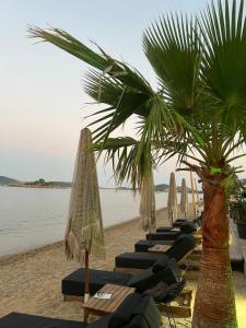 a row of lounge chairs and palm trees on a beach at Egee View in Nea Peramos