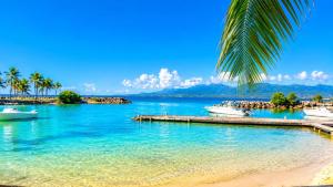 a beach with palm trees and boats in the water at Studio cosy à Bas-du-Fort in Le Gosier +4 photos
