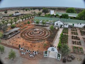an aerial view of a large garden with a water fountain at Die Olyfhuis in Barkly West
