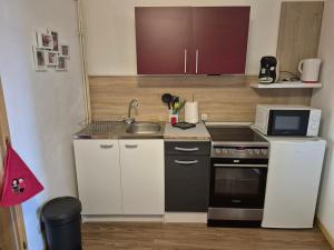 a small kitchen with a sink and a microwave at Le repaire des 6 Manalas in Ingersheim