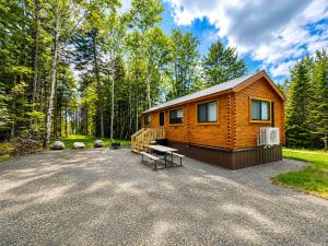 a log cabin in the woods with a picnic table at Cozy Coastal Cabin 5 in Steuben