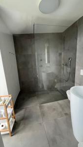 a bathroom with a shower with a toilet and a sink at vila Kořenec in Kořenec +4 photos