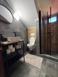 a bathroom with a toilet and a sink and a shower at Castle View Apartments in Făgăraş +16 photos