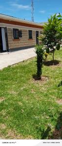 a building with a tree in the grass in front of a building at Hemison Homes in Naivasha +1 photo