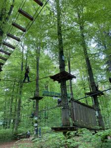 a person on a zip line in the forest at Ferienwohnung Groß in Blaubeuren