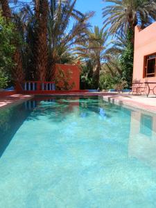 a swimming pool with blue water and palm trees at Chez Moulay Ismail in Agdz +16 photos