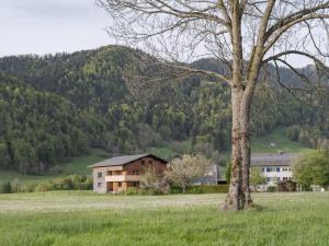 a tree in a field in front of a mountain at Haus des Onkels in Hittisau
