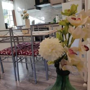 a green vase with white flowers in a kitchen at La ca veja in Locana +24 photos