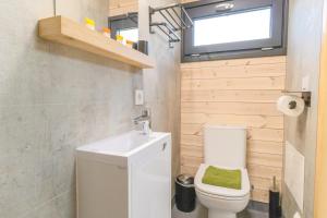a small bathroom with a toilet and a sink at Naturverliebt am Diemelsee - Tiny House Wiesenblick in Heringhausen +20 photos