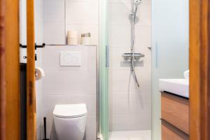 a bathroom with a shower and a toilet and a sink at Ferienwohnung Stöfs in Behrensdorf +23 photos