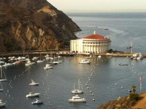 a bunch of boats in the water near a building at Catalina's Got Cart Condo in Avalon