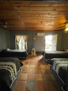 a room with beds and a wooden ceiling at Rm Dorm in San Quintín +2 photos