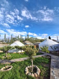 two trees in a yard with two umbrellas at Keremet Yurt in Bokonbayevo