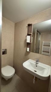 a bathroom with a sink and a toilet and a mirror at Budapest Airport Smart panzio in Vecsés +1 photo