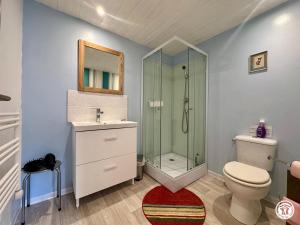 a bathroom with a shower and a toilet and a sink at Gîte Geoffroy in Montigny-sur-Aube +21 photos
