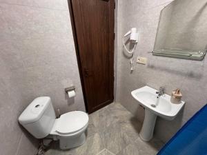 a bathroom with a toilet and a sink at Memory- borjomi in Borjomi +34 photos
