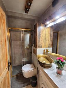 a bathroom with a sink and a toilet and a shower at BLUE Reset in Ruciane-Nida