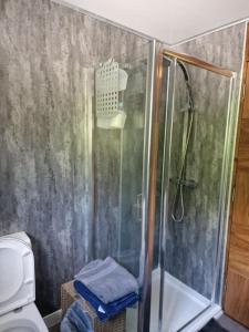 a bathroom with a shower and a toilet at Self-catering extended family home in Edinburgh +44 photos