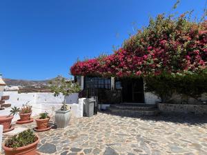 a building with a bunch of pink flowers on it at Casa Tara - 5 bedroom, 4 bathroom villa with private pool in Mácher