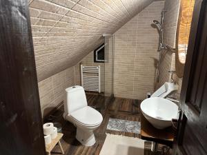 a bathroom with a toilet and a sink at Cabana Poiana in Rusca