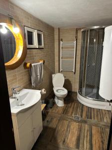 a bathroom with a toilet and a sink and a shower at Cabana Poiana in Rusca