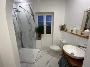 a bathroom with a shower and a toilet and a sink at Chez Lapage in Saint-Avit-Sénieur