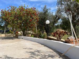 a garden with red flowers and a street light at Villa Mina in Serranova