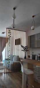 a kitchen with a large sliding partition in a room at Garsoniera Daria in Saturn