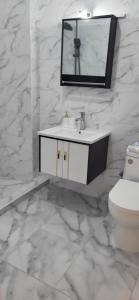 a bathroom with a sink and a mirror and a toilet at Garsoniera Daria in Saturn