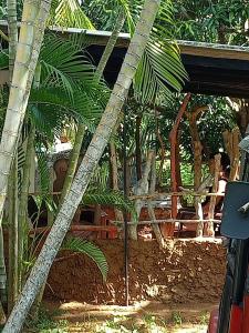 a group of palm trees in front of a building at Tropical Lodge Yala in Kirinda +2 photos