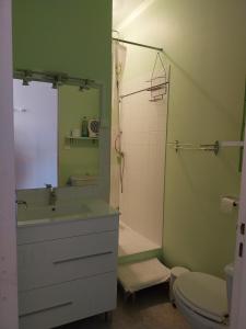 a bathroom with a sink and a shower and a toilet at Appartement Sauges 16 in Cazaubon