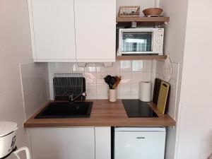 a small kitchen with a sink and a microwave at Appartement Sauges 16 in Cazaubon +2 photos