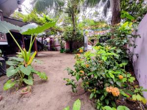 a garden with a bunch of plants and flowers at Gothra Beach Casa in Alleppey
