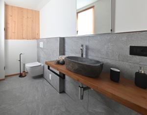a bathroom with a stone sink and a toilet at Ciasa Fatati' in Pinzolo