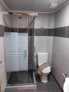 a bathroom with a toilet and a glass shower at K & A Studios 2 in Nydri +28 photos