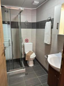 a bathroom with a shower and a toilet and a sink at K & A Studios 2 in Nydri