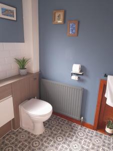 a bathroom with a white toilet and a blue wall at Priory Stream, Lower Priory, Pembrokeshire in Milford Haven +18 photos