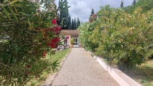 a garden path between trees with a house in the background at Casita Cacahuete in Olvera