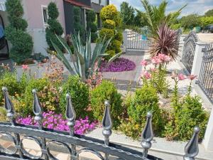 a garden of flowers in front of a house at Apartment Camelia in Poreč
