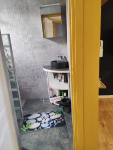 a bathroom with a sink and a mirror at Loc 'FCathy in Saint-Benoît