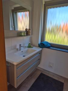 a bathroom with a sink and a window at Elbsandstein vor der Tür in Lohmen