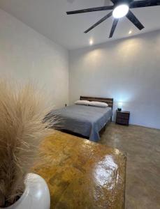 a bedroom with a bed and a ceiling fan at Coyote Room in Arteaga