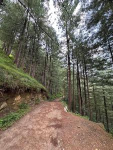 a dirt road in a forest with trees at Hotel comfort hill in Abbottabad