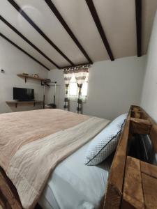 a bedroom with a large bed in a room at Konaciste Mali Izvor in Boljevac