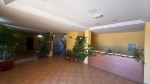 a hallway with potted plants in a building at Estudios Costavigía Mazagón by Ramona in Mazagón