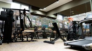 a room with a gym with a bike on the wall at TubHotel in Grottazzolina