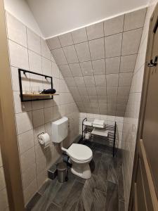 a small bathroom with a toilet and a sink at Mitter-ház Panzió in Zalaszentgrót