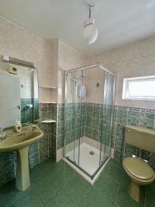 a bathroom with a shower and a sink and a toilet at An Teach Ban in Tralee +4 photos