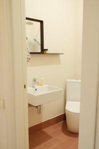 a bathroom with a sink and a toilet and a mirror at Dadi House Martvili in Martvili